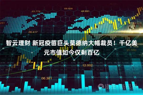 智云理财 新冠疫苗巨头莫德纳大幅裁员！千亿美元市值如今仅剩百亿