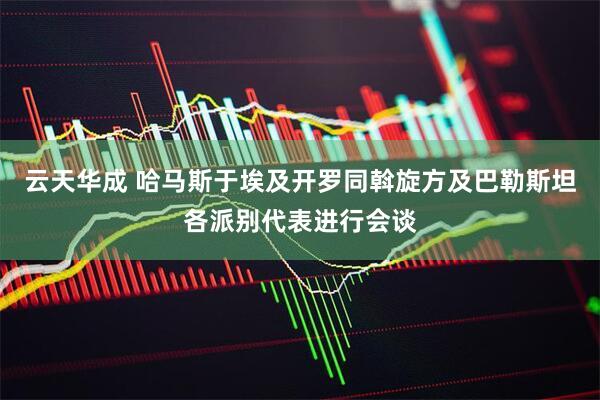 云天华成 哈马斯于埃及开罗同斡旋方及巴勒斯坦各派别代表进行会谈