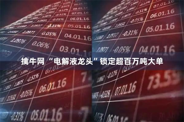 擒牛网 “电解液龙头”锁定超百万吨大单