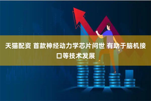 天猫配资 首款神经动力学芯片问世 有助于脑机接口等技术发展