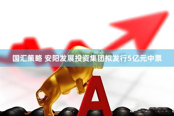 国汇策略 安阳发展投资集团拟发行5亿元中票