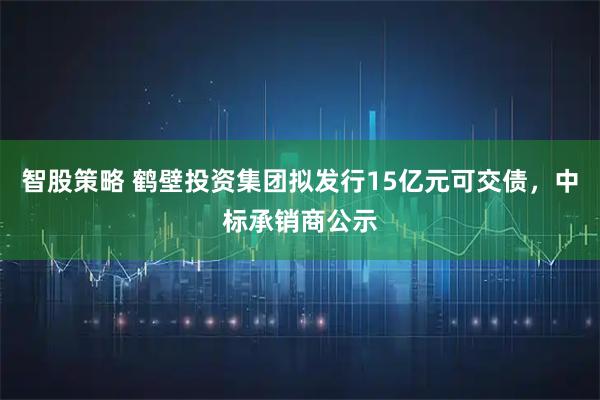 智股策略 鹤壁投资集团拟发行15亿元可交债，中标承销商公示