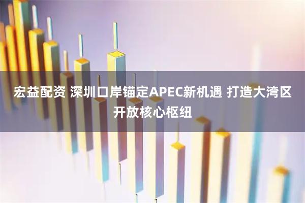宏益配资 深圳口岸锚定APEC新机遇 打造大湾区开放核心枢纽