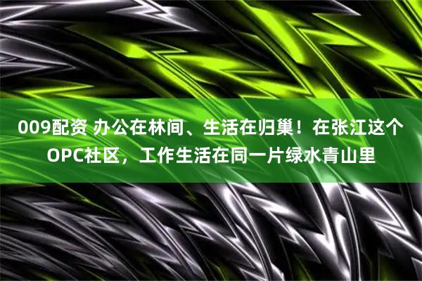 009配资 办公在林间、生活在归巢！在张江这个OPC社区，工作生活在同一片绿水青山里